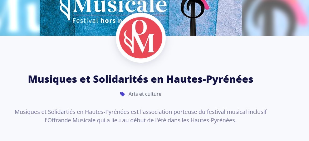 Capture d'écran de la page d'accueil du site de Musiques et Solidarités en Hautes-Pyrénées