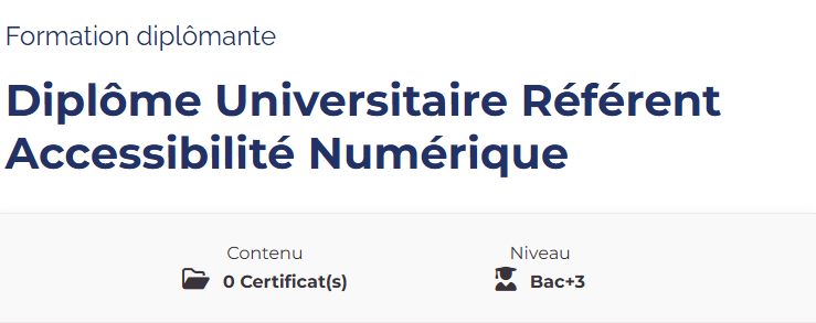 Formation diplomante : diplome universitaire référent accessibilité numérique